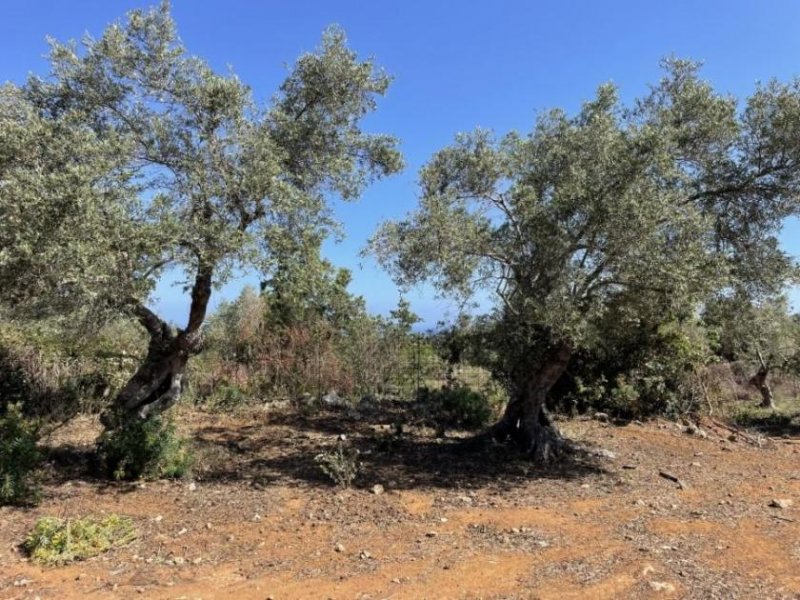 Prines Kreta, Prines: Grundstück mit Meerblick zu verkaufen Grundstück kaufen